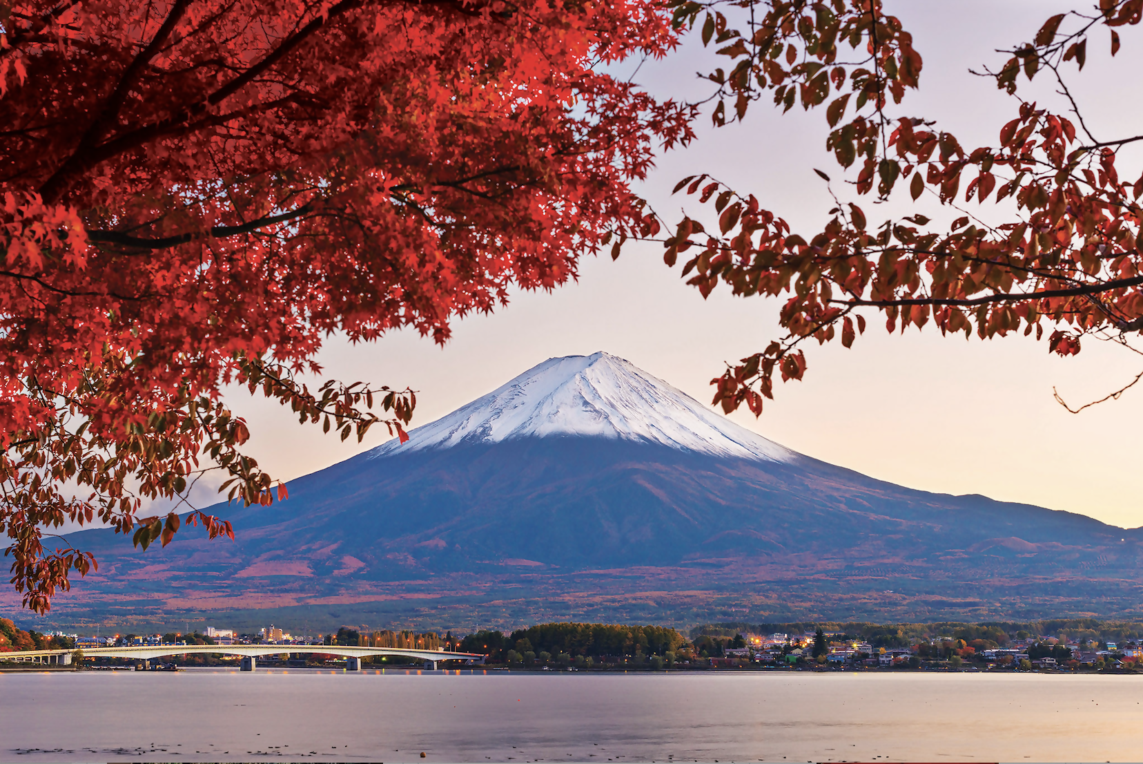 Seabourn Unveils New 2025-26 Cruises Exploring Japan, Caribbean and More